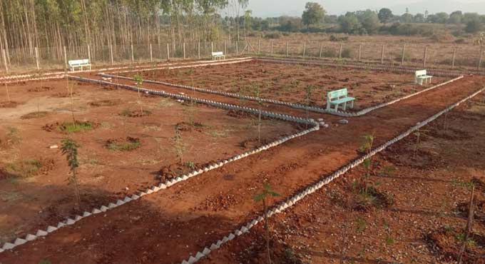 Palle Prakruthi Vanam developed under CSR initiative in Kothagudem