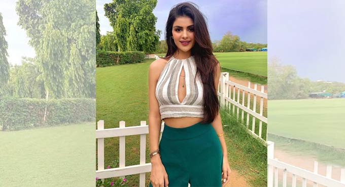 Priyanka Chahar: Canada shoot of ‘Udaariyaan’ depends on good TRPs