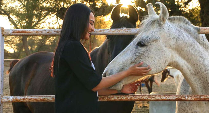 Sonakshi Sinha channels love for animals in latest Instagram post