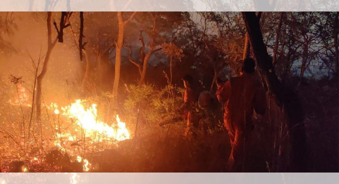 Wildfire at Domalpenta contained by forest department