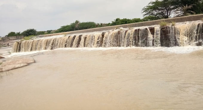 Check dams in Kudavelly Vagu brimming with KLIS water