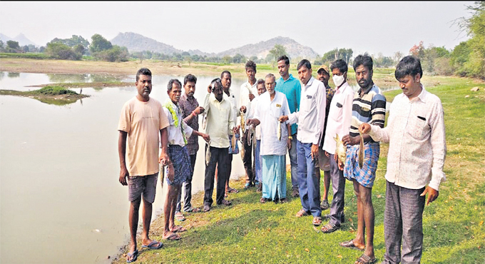 Karimnagar: Six quintal fish found dead, villagers suspect foul play
