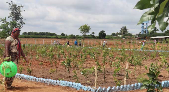 Telangana fulfilling Gandhi’s Gram Swarajya dream: Errabelli