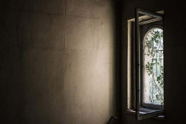 Interiors from a virus-free and pollution-free vantage