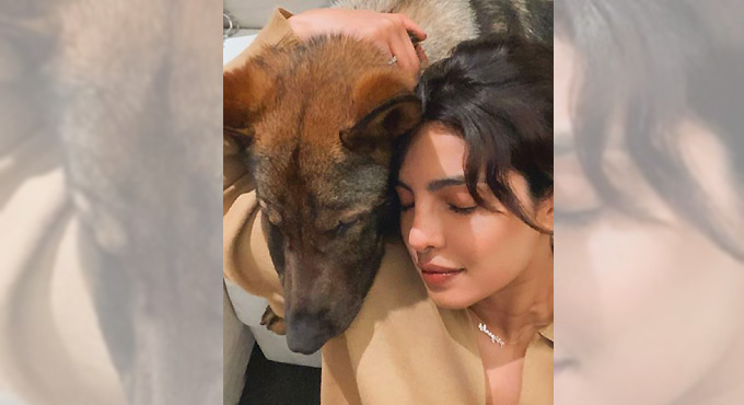 Actress Priyanka Chopra sends ‘virtual hug’ for fans