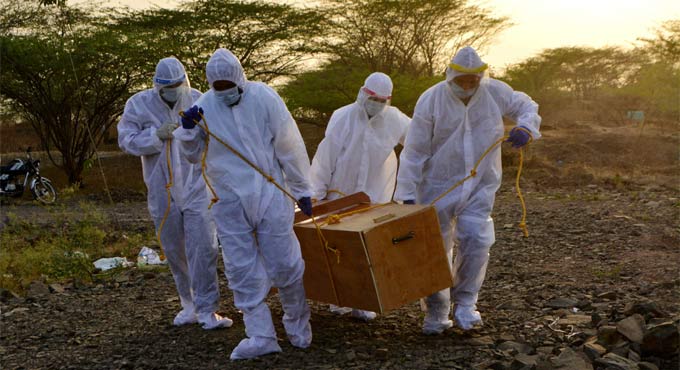 COVID-19: India records 96,982 new cases