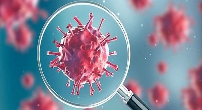 N440K variant of Coronavirus dominant in Telangana, AP