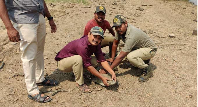 Crocodile rescued, released into Pakhal Lake in Warangal Rural