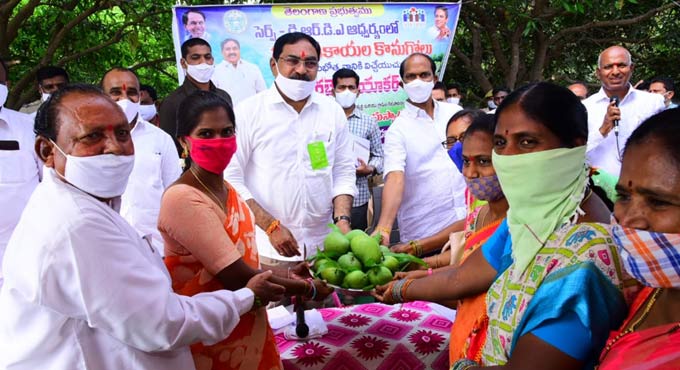 FPOs aim at Rs 20 crore turnover through mango procurement: Errabelli