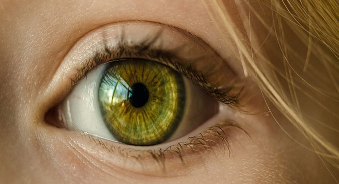 Study reveals glaucoma may be more than eye pressure issue