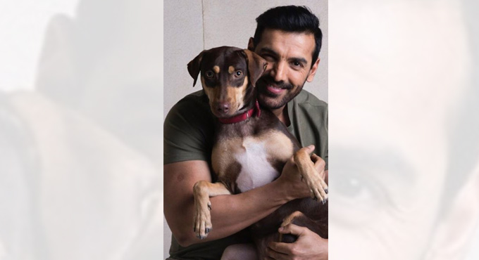 Battling lockdown blues with true companions