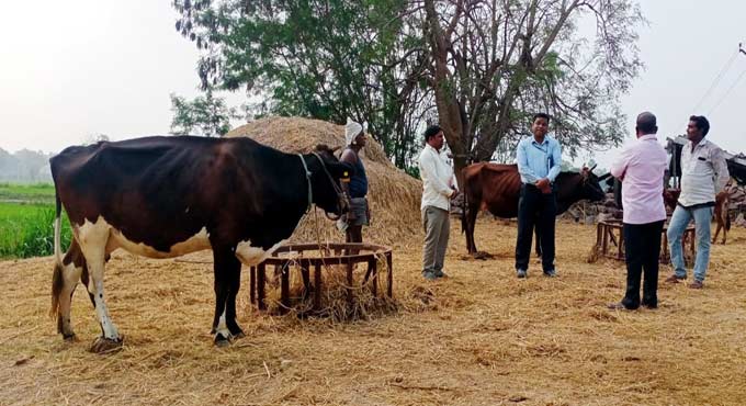 Cattle hostels in Relief and Rehabilitation colonies soon: Karimnagar Dairy chairman