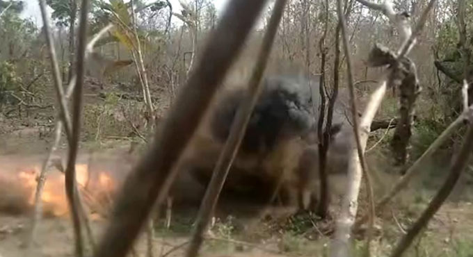 Kothagudem: Major tragedy averted as cops destroy IED planted by Maoists