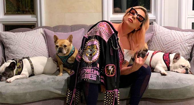 Lady Gaga’s dognappers charged with attempted murder, robbery