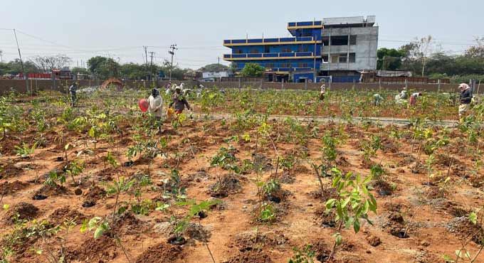 Ramagundam NTPC expands green presence with Miyawaki method
