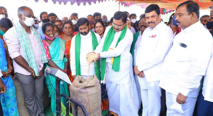 Adopt crop rotation for higher yields: Niranjan Reddy