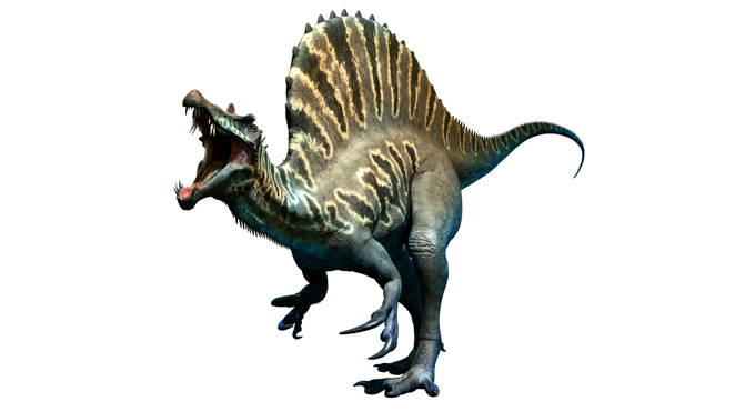 Did you know about Spinosaurus, the aquatic dinosaur?