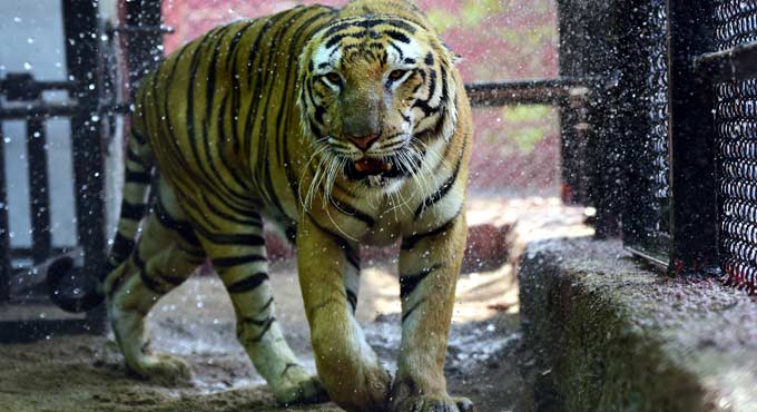 Hyderabad continues to experience hot weather