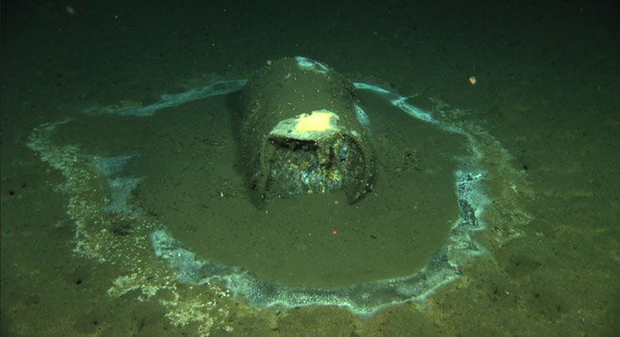 Scientists find 27K suspected barrels of toxic DDT on ocean floor near LA