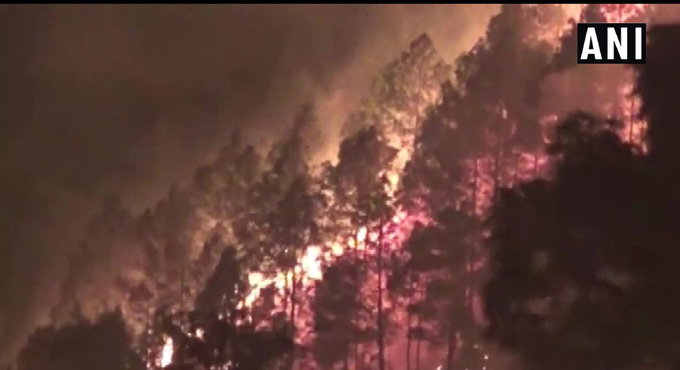 Uttarakhand’s toll in forest fires rises to eight