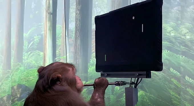 Watch: Musk’s Neuralink shows how monkey plays Pong with his mind