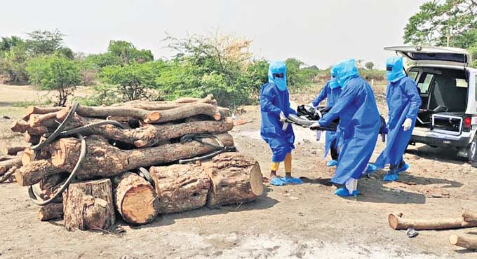 Korutla-based organisation’s yeoman service in Covid times