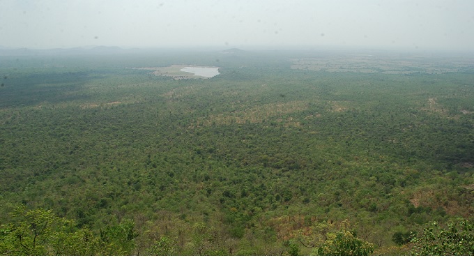 Telangana forces AMD shelve uranium mining in Amrabad Tiger Reserve