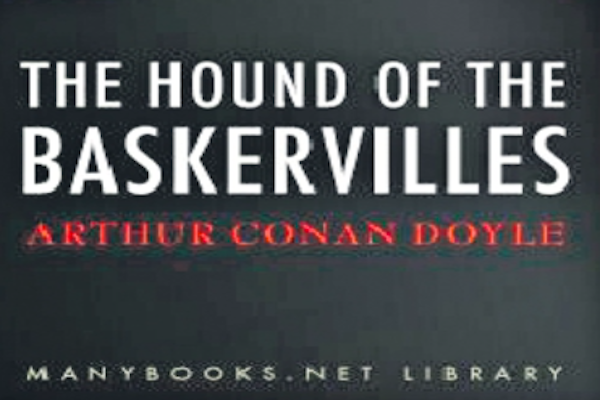 The thrilling novel is a valuable addition to any library