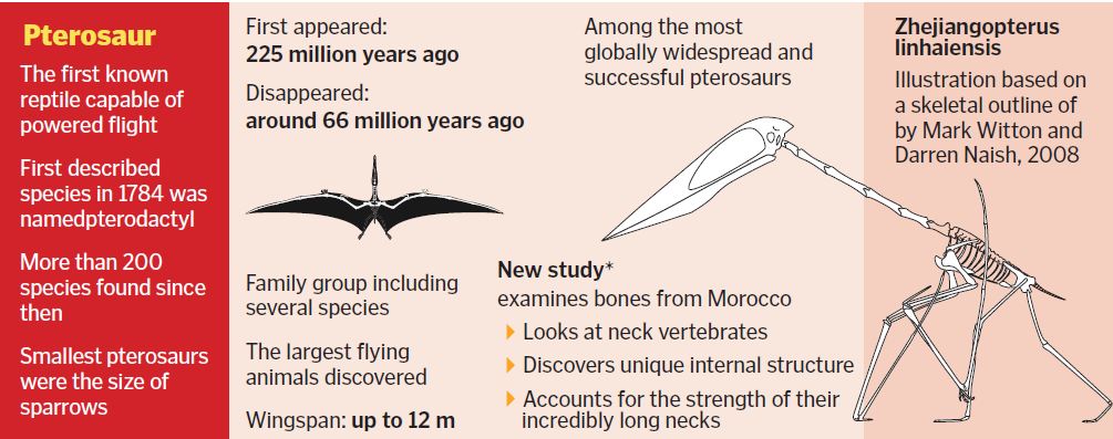 Massive flying reptiles
