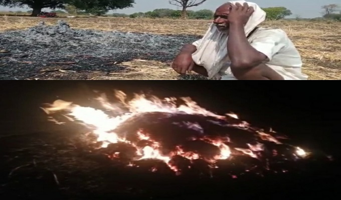 Miscreants set fire to harvested jowar crop in Sangareddy