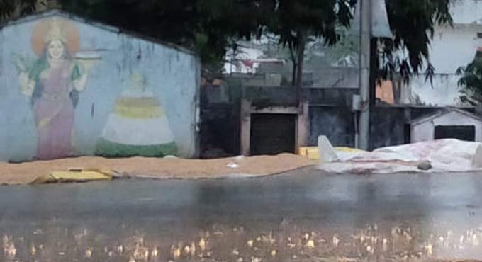 Unseasonal rains damage crops in Nizamabad