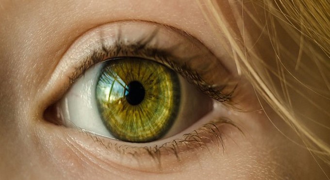 Natural indigo dye extract can protect eye