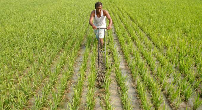 India’s economic activity softening: Crisil Research