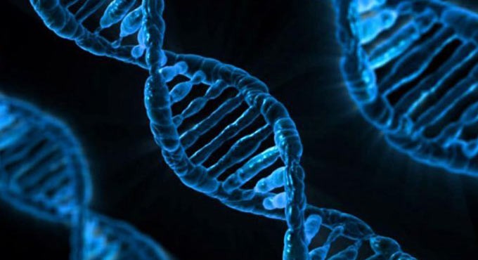 Scientists spot genes linked with severe Covid-19 risk