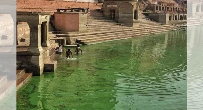 Ganga goes green in Varanasi
