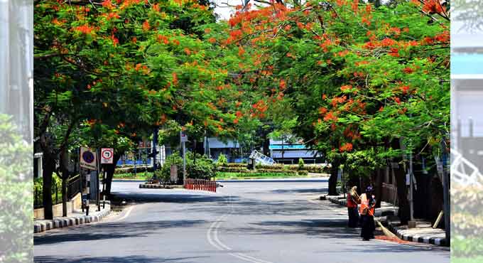Hyderabad's air quality