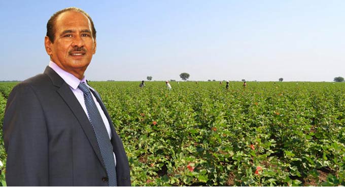 Kaveri Seeds FY21 net profit up 19.74 per cent