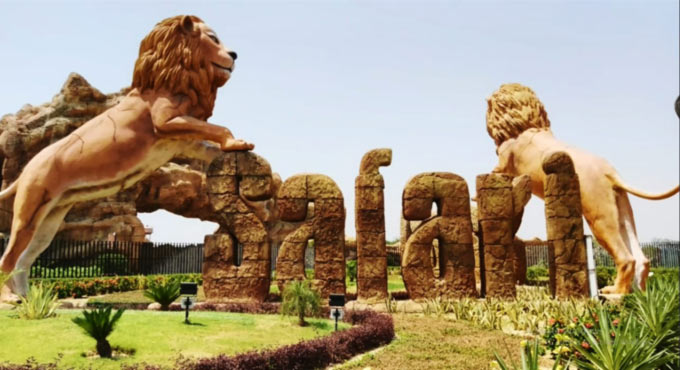 Two lionesses at UP’s Etawah Lion Safari contract Covid-19