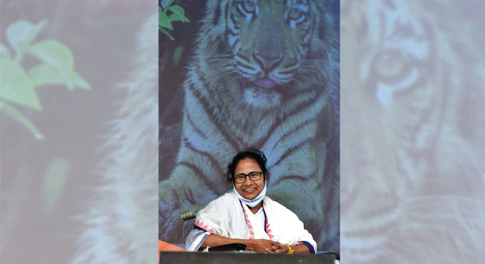 Mamata Banerjee trailing, big lead for other Trinamool heavyweights