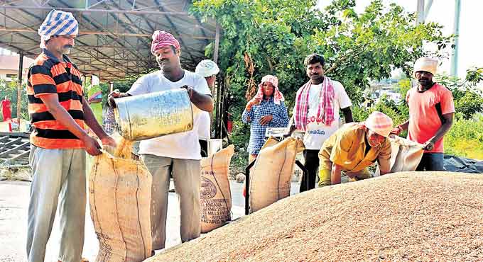 Over 50 lakh MT of paddy worth Rs 9,886 cr procured in Telangana