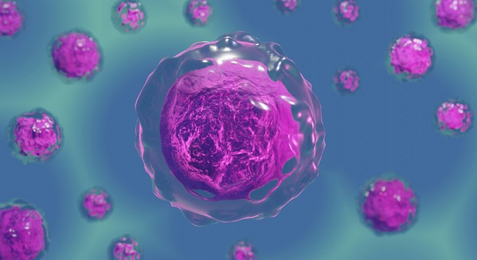 Researchers seek deeper understanding on how cells in the body operate