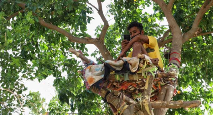 Telangana: Covid positive youth spends 11 days on tree