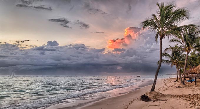 Study indicates global warming could reduce biodiversity in tropics