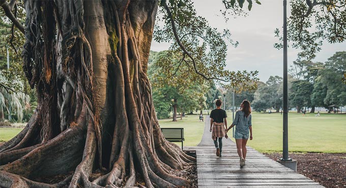 Taking more steps daily may lead to a longer life: Study