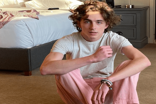 Timothee Chalamet to play young Willy Wonka