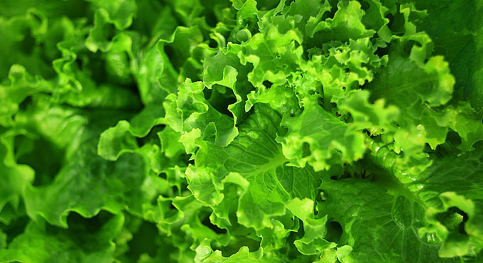 One cup of leafy green vegetables a day, keeps heart diseases away