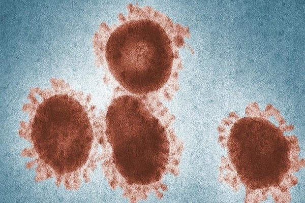 Covid impact on cancer patients