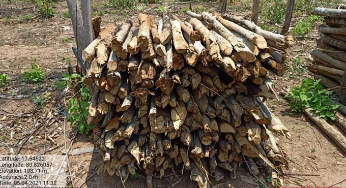 TSFDC to provide free firewood to crematoriums in Hyderabad