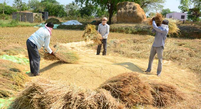 Ensure no delay in purchase of paddy: Niranjan Reddy
