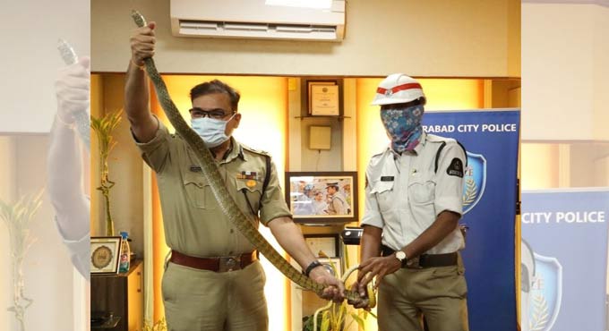 Hyderabad: Snakes rescued from near Commissioner’s residence